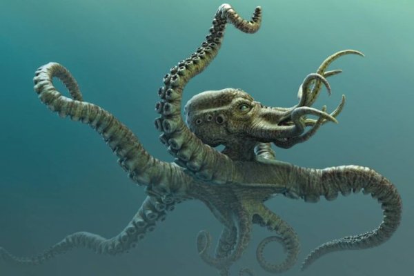 Kraken новая ссылка