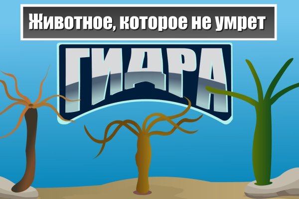 Kraken ссылка для тору