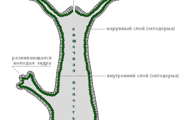 Активная ссылка на кракен